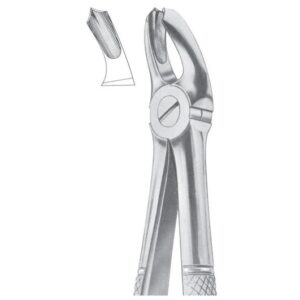Extracting Forceps
